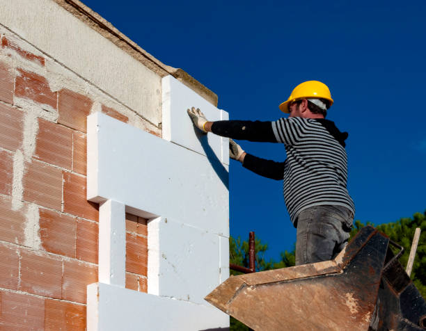 Best Insulation Installation Services in Black Rock, NM